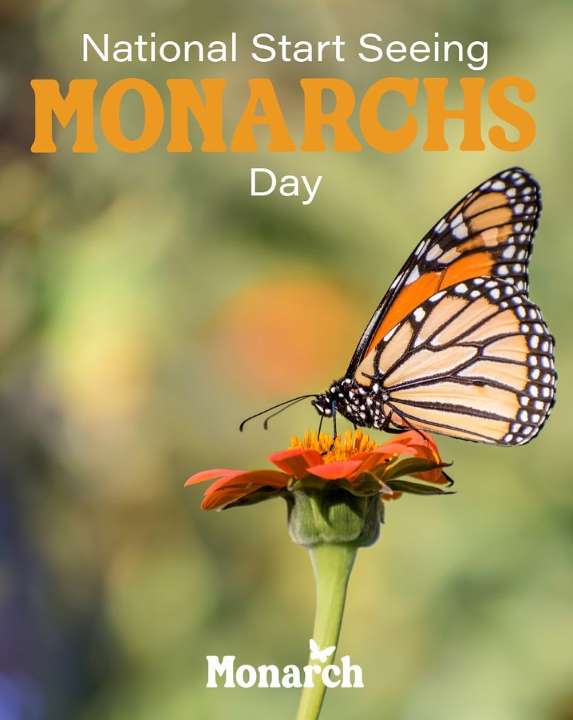 Happy National Start Seeing Monarchs Day. Keep an eye out for our favorite butterflies. 👀🦋

#cannabisindustry #WasteWarriors #SustainableCannabis #CannabisCompliance #ConsciousCannabis #CompostRevolution #CannabisWaste #EcoCannabis #CannabisRecycling #EarthFriendlyCannabis