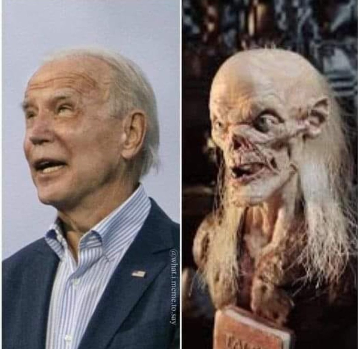 I'll never unsee it 🤣🤣🤣🤣🤣🤣🤣🤣#BidenCrimeFamilly twins...........