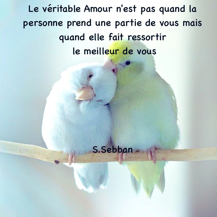 🤍✨❤️‍🩹☀️❤️🪷✨🌙🙏🏾#ligue_des_optimistes  #serenity #philosophie #lacherprise #psychologie #Paix  #meditation #amour #coherencecardiaque #estimedesoi #confianceensoi