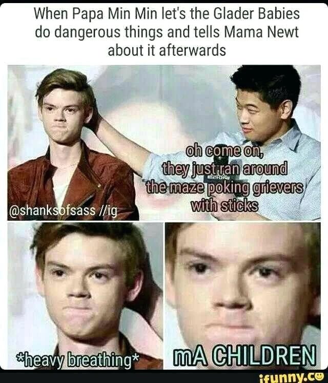 maria tweet media