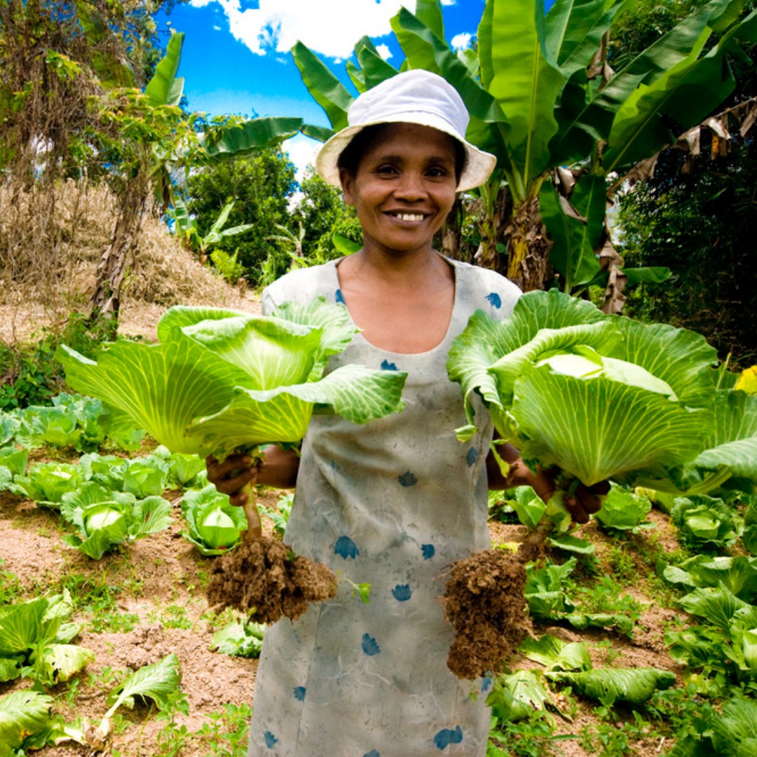 El desarrollo rural con la agricultura como eje puede generar prosperidad en las comunidades y ayudarnos a crear un mundo más igualitario y justo para todos. #InvierteenlaPoblaciónRural