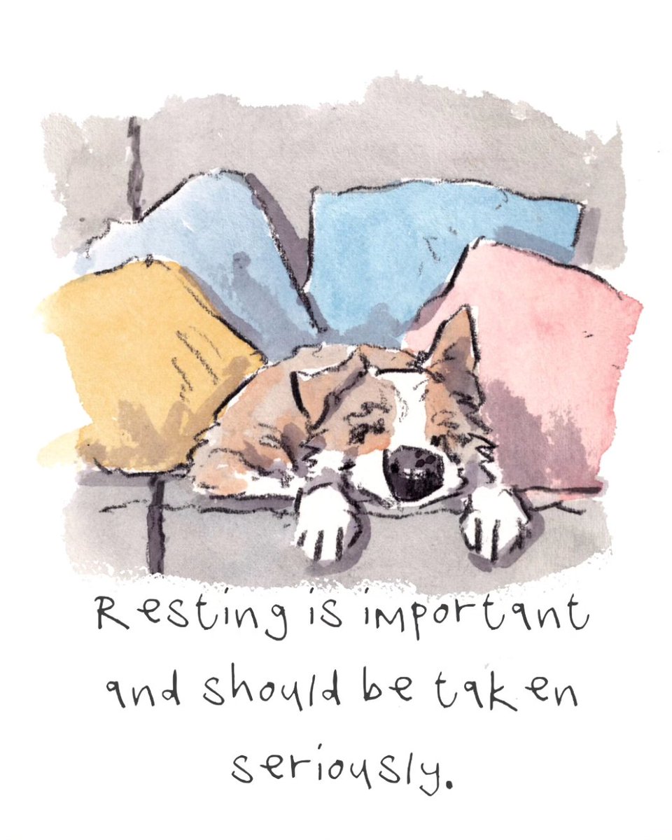 I hope that you are having a lovely day so far lovely people and lovely dogs. Hooray for serious resting. I'm wishing you the very best for the rest of your day. #hoorayfordogs #resting