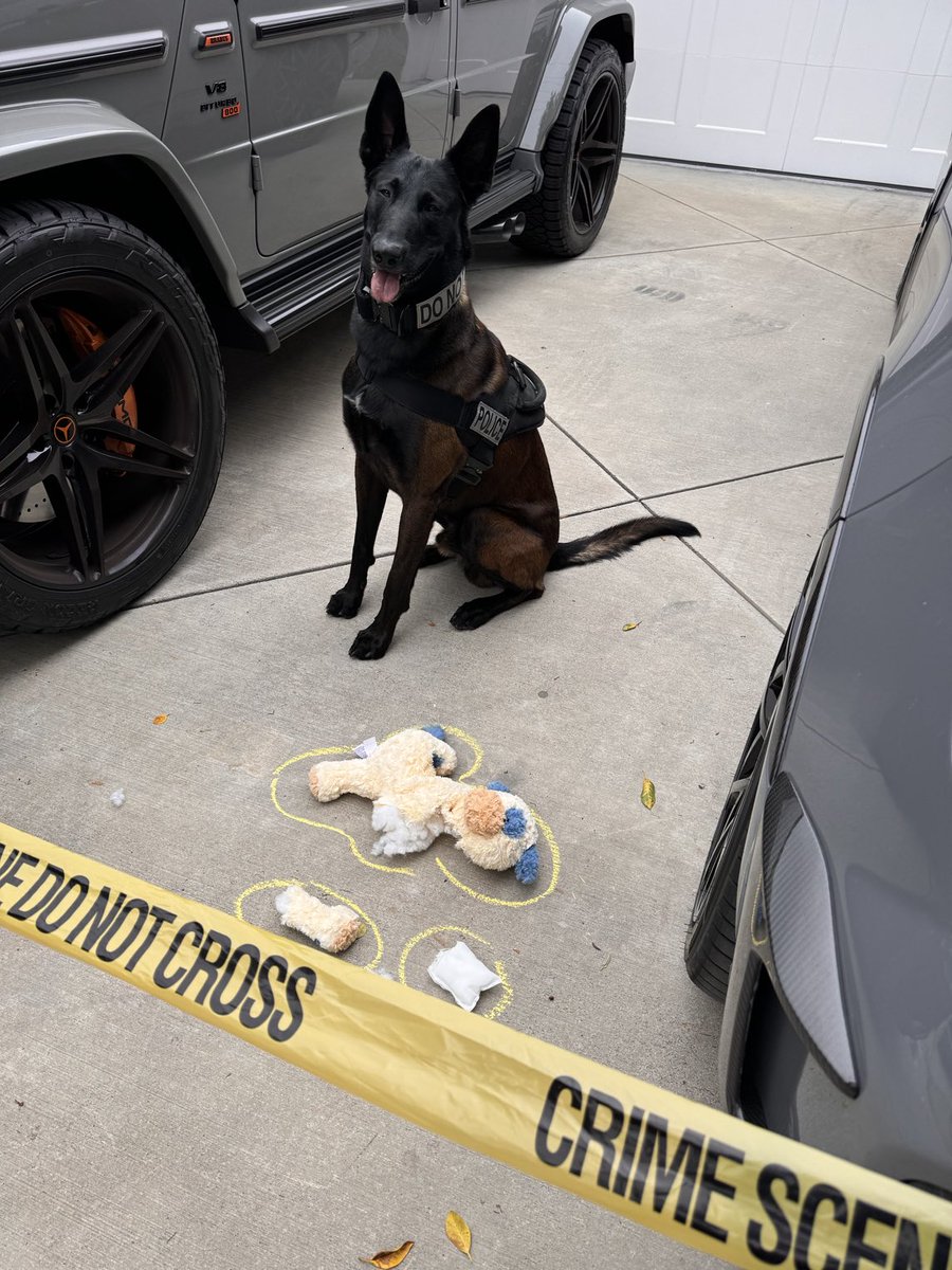 Breaking news: Local police K-9 under investigation for 'murdering' a stuffed animal. Eyewitnesses report the scene was fluff-filled chaos. More on this developing story. #RuffJustice 🐾