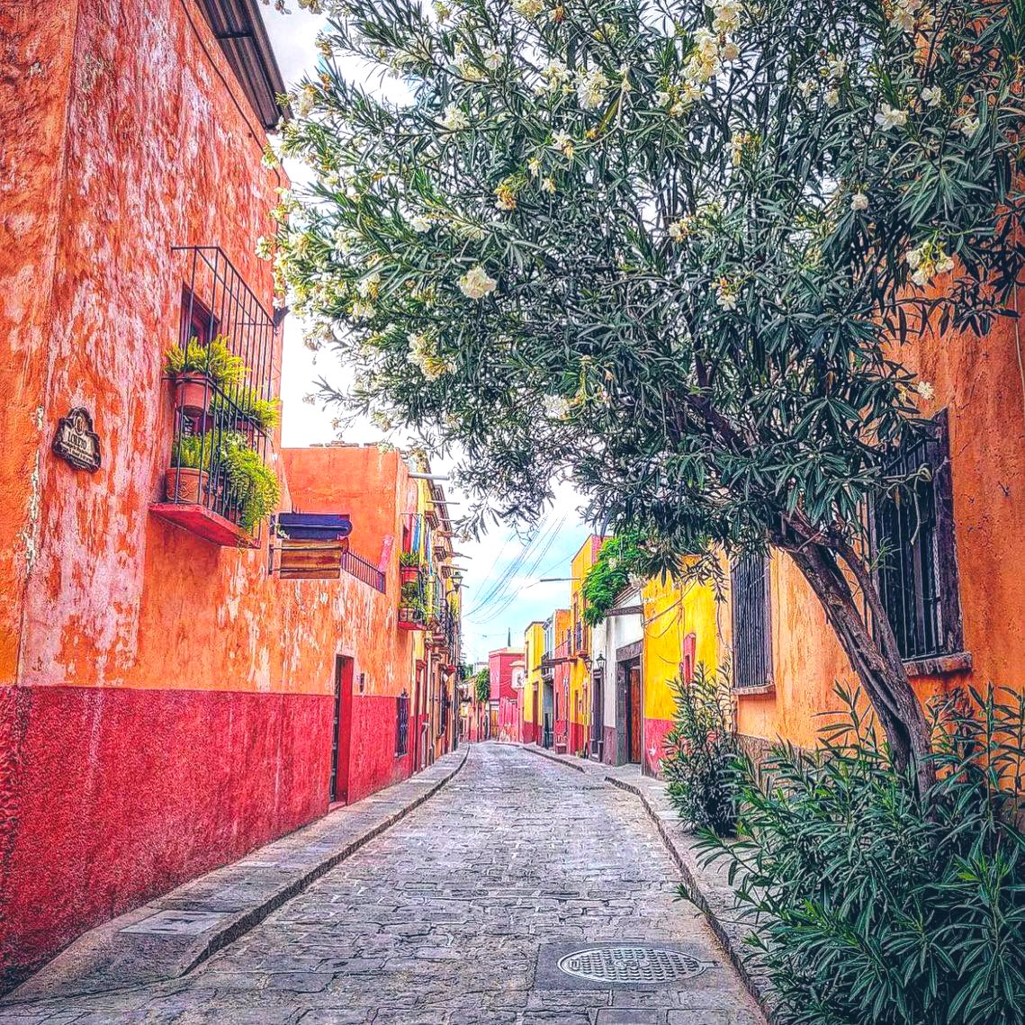 #BUENOSDÍAS.- Hoy te damos los buenos días desde un rincón de San Miguel de Allende, con una callecita colorida y llena de artesanías ¿sabes cuál es? Mientras empezamos¿vamos por un rico #cafecito?

#SanMigueldeAllende  #Mexico