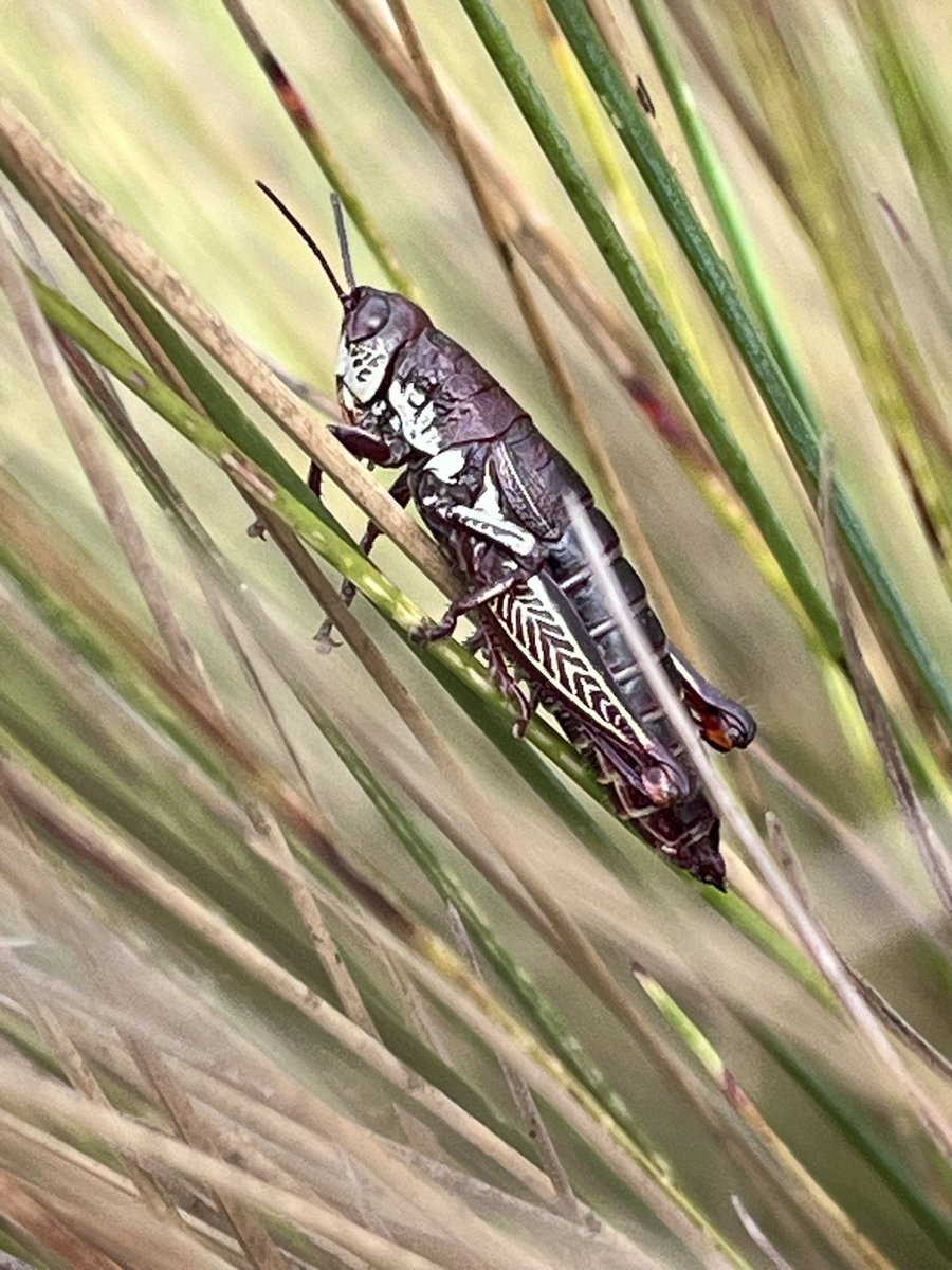 María Claudia Segovia 🇪🇨 tweet media