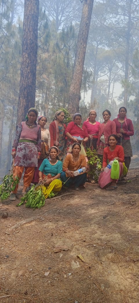 These are the brave women fighting forest fires in Sitlakhet in #Almora dist in #Uttarakhand on a regular basis. Amongst the day to day challenges of life, women are hardest hit by forest fires. One can just applaud their do or die spirit. God bless you all! Courtesy : WhatsApp