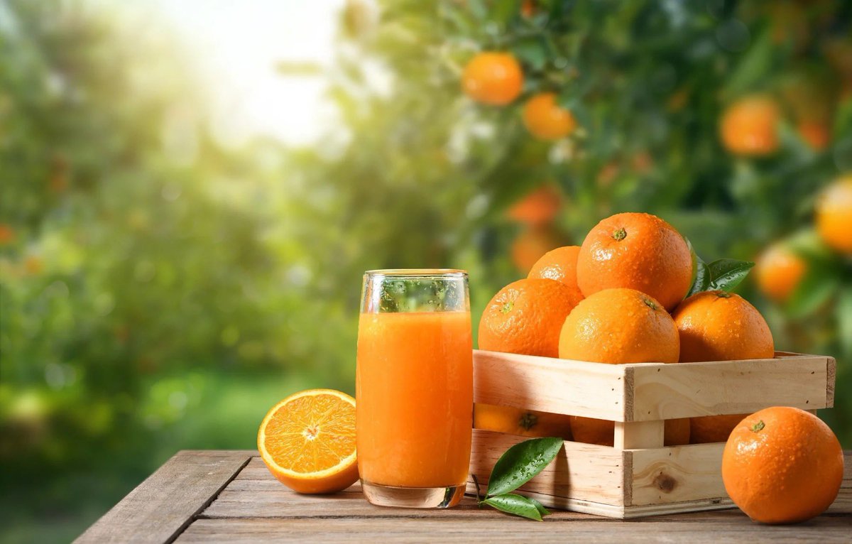 Happy National Orange Juice Day!

#OrangeJuice is enjoyed throughout the world. In fact, surveys reveal that it is the world’s most popular fruit juice. Manufacturers produce around 1.6 billion metric tons of this beverage each year.

🍊 #NationalOrangeJuiceDay #FoodOfTheDay