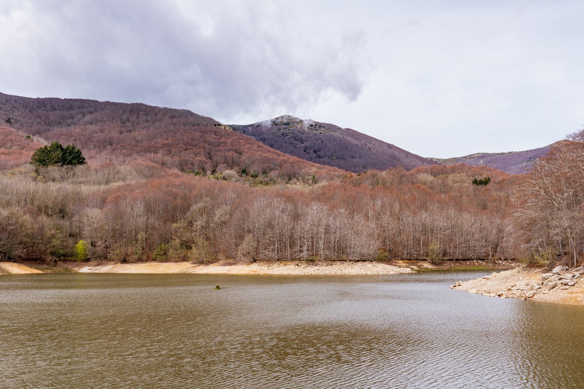 Miguel Angel Ciudad tweet media