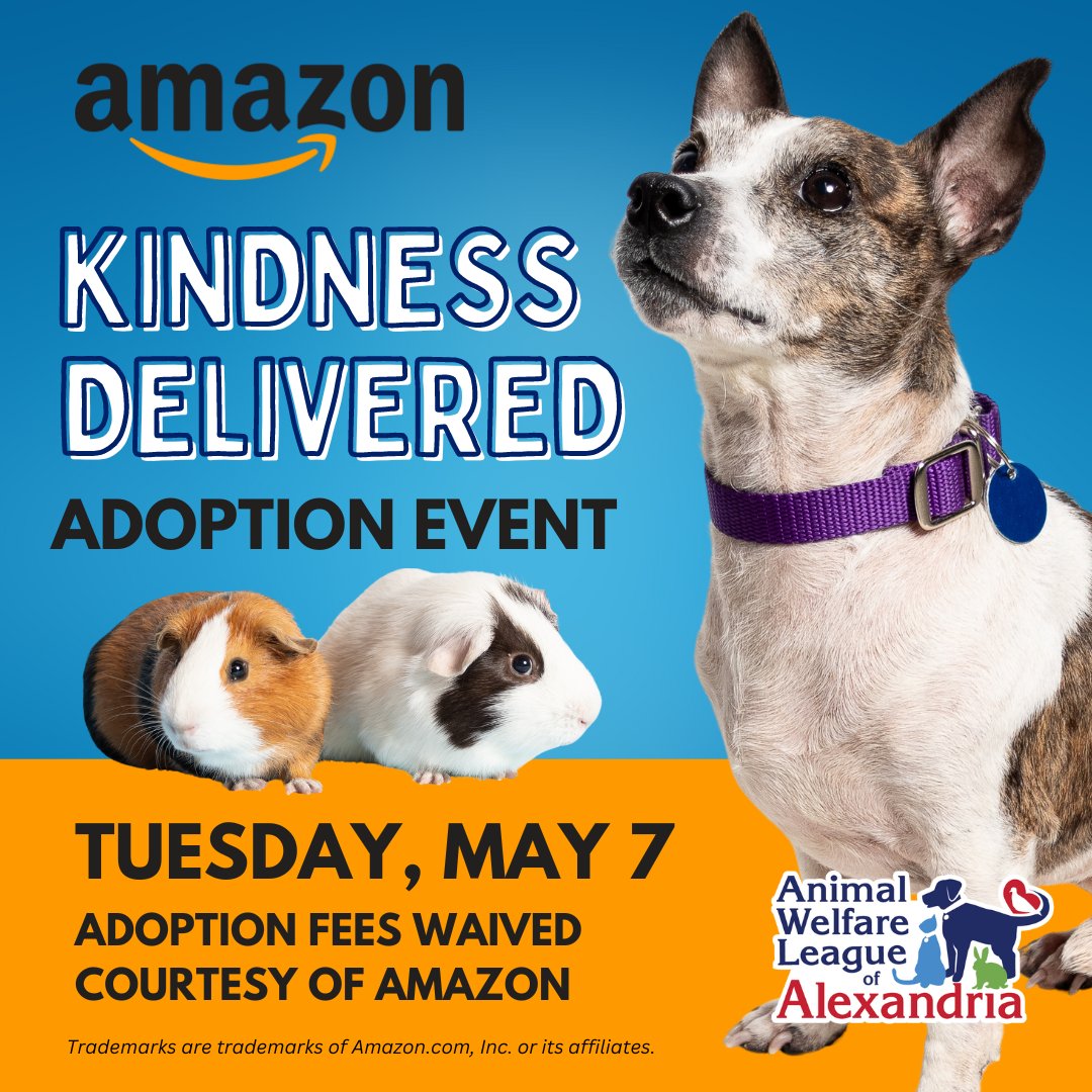 We’re hosting a fee-waived adoption event Tuesday, May 7! 🧡 In honor of @amazon's Pet Day (May 7-8), Amazon is covering adoption fees for all adult (6 months or older) dogs, cats, and small mammals on May 7. Shop the sale here: amzn.to/3vYBskd! #petday