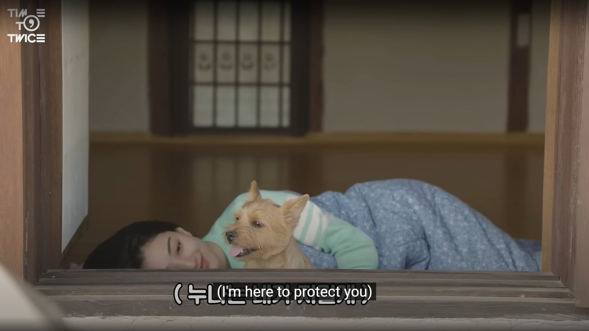 jihyo's little protectors, bbubbu and boo boo  🐈‍⬛🐶