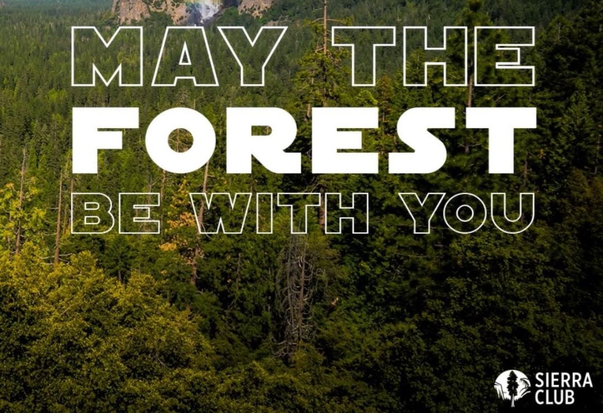 May the Forest Be With You. 
Stop copper mining threats near the #BWCA
#Maythe4thBeWithYou