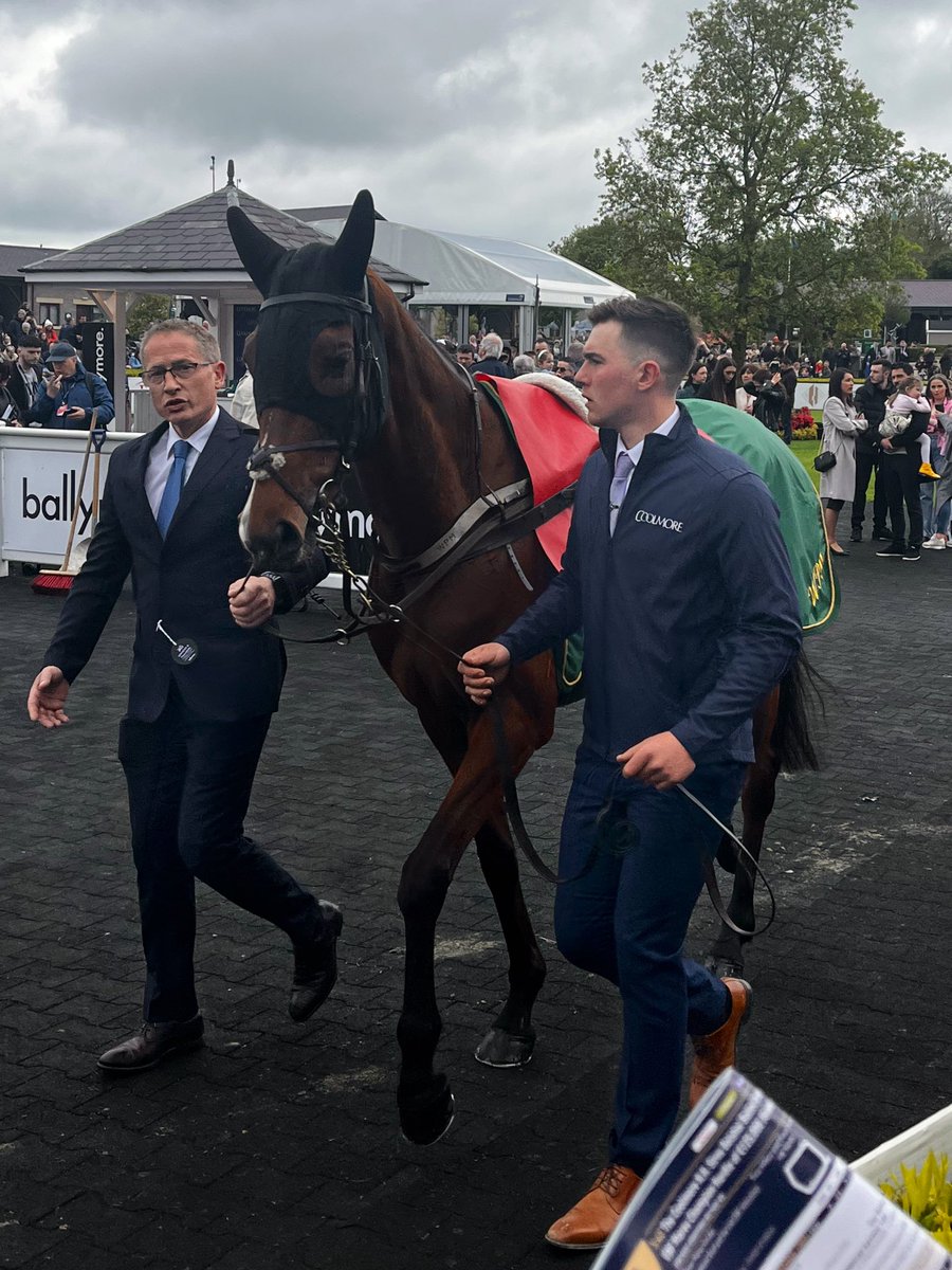 Lauren Fahy (@laurenfahy_) on Twitter photo One last throw of the dice for my favourite Diamond ๐๐ค๐ค๐ good luck <a href="/ashroestud/">Ashroe Stud</a> ๐๐ป One last throw of the dice for my favourite Diamond ๐๐ค๐ค๐ good luck <a href="/ashroestud/">Ashroe Stud</a> ๐๐ป