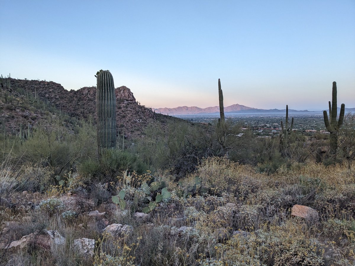 Nothing too serious, but got out to a nearby trail in the Oro Valley in AZ. 2.3 mile loop. Super technical(I had one climbing mile time of 11' with not much elevation gain😅). Still fun! No cacti bites until I was hiking back for coffee. Oops! 🏜️ #running #trailrunning