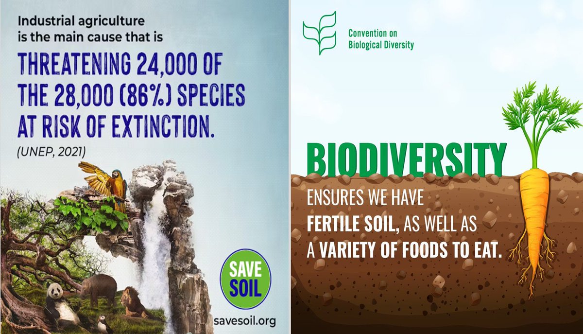 Complete removal of pollinators could reduce global fruit supply by 23%, vegetables by 16%, and nuts and seeds by 22%. Bee populations are also declining because of the use of harmful pesticides  particularly in the US and Europe.
#cpsavesoil #SaveSoilFixClimateChange