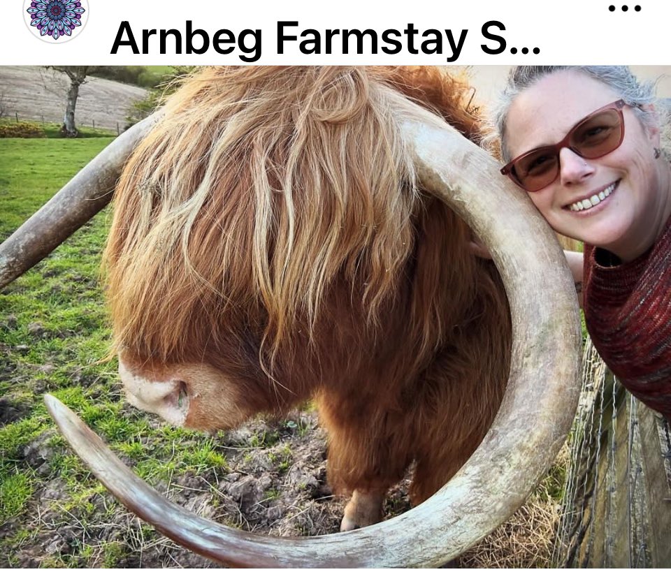 Would you say this is a bucket list moment?

I have the best “job” in the world ❤️❤️❤️🏴󠁧󠁢󠁳󠁣󠁴󠁿

#arnbegfarmstayscotland #highlandcow #farmstay #visitscotland