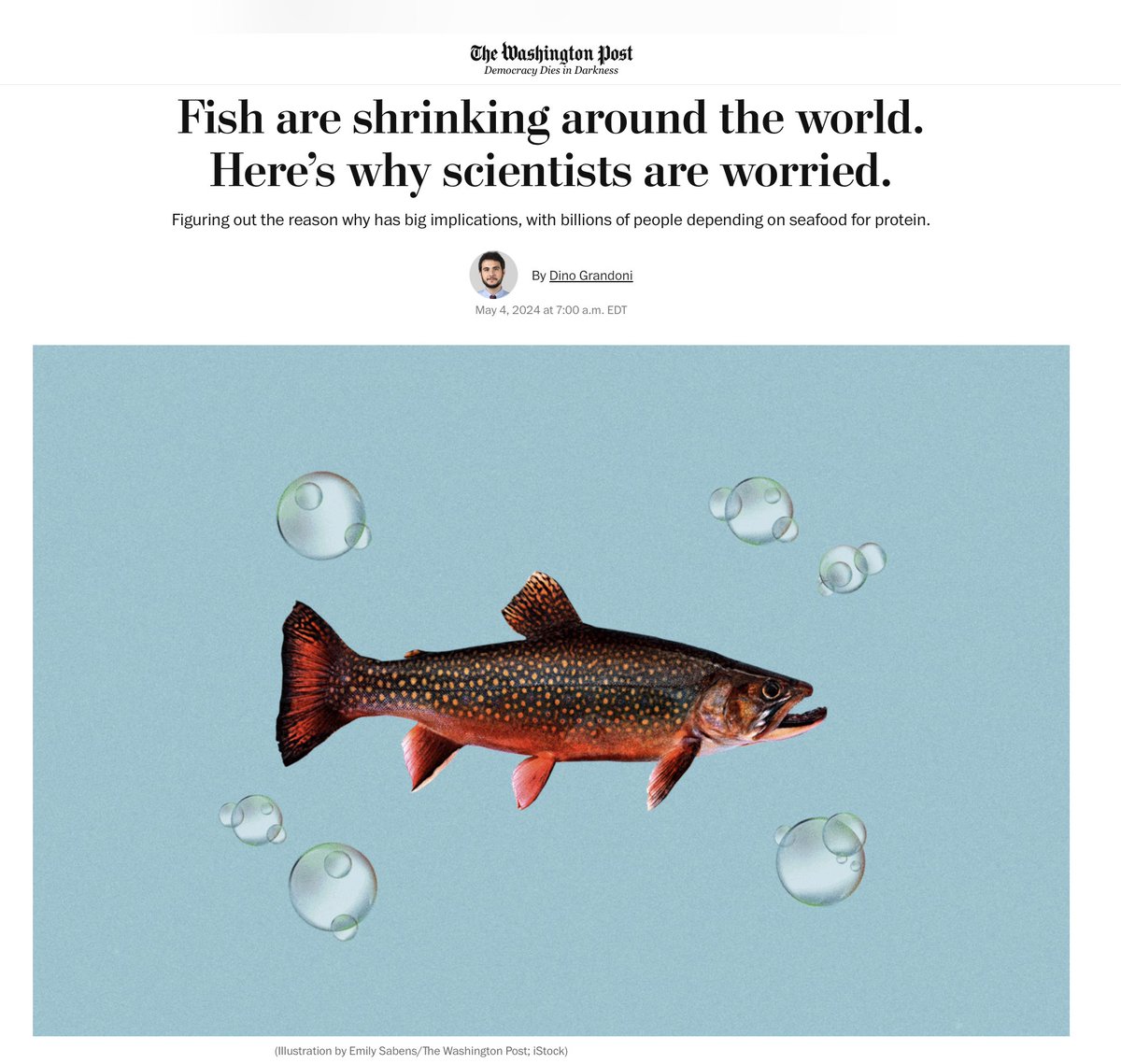 A climate fish story from WaPo @dino_grandoni: 0 Without any evidence other than 'scientists say', Grandoni reports that 'human-caused climate change' is making fish smaller.🙄 Reality: 1. If fish were getting smaller (and never believe anything climate propagandists say) it…