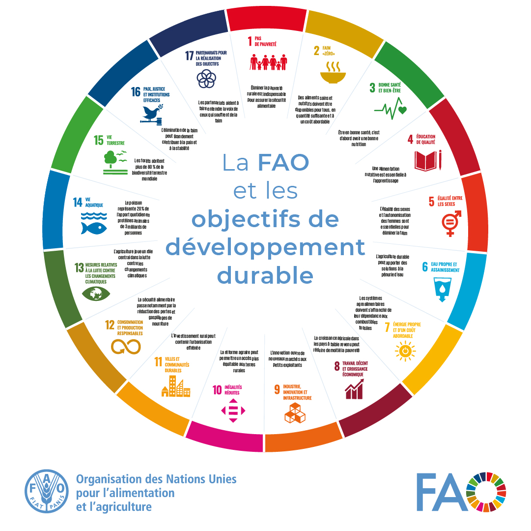 17 objectifs. 6 ans pour les atteindre. Un seul avenir. L'alimentation et l'agriculture sont au cœur de la réalisation de chacun des 17 #ODD. La @FAO s'engage à contribuer à la construction d'un avenir meilleur pour tous, découvrez comment 👉bit.ly/3oO8LiP