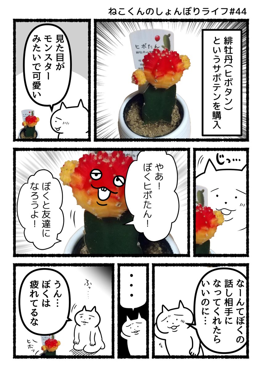 #ねこくんのしょんぼりライフ
『ヒボたん』 
