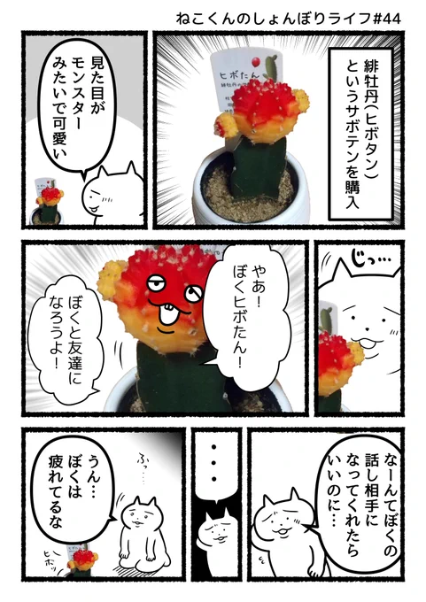 #ねこくんのしょんぼりライフ
『ヒボたん』 