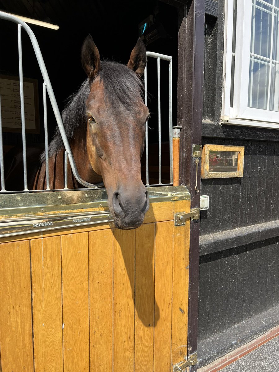 Just an absolute wicked turn of foot 🌪️ Dubawi producing the goods again and again… One of the best stallions of all time 🏆