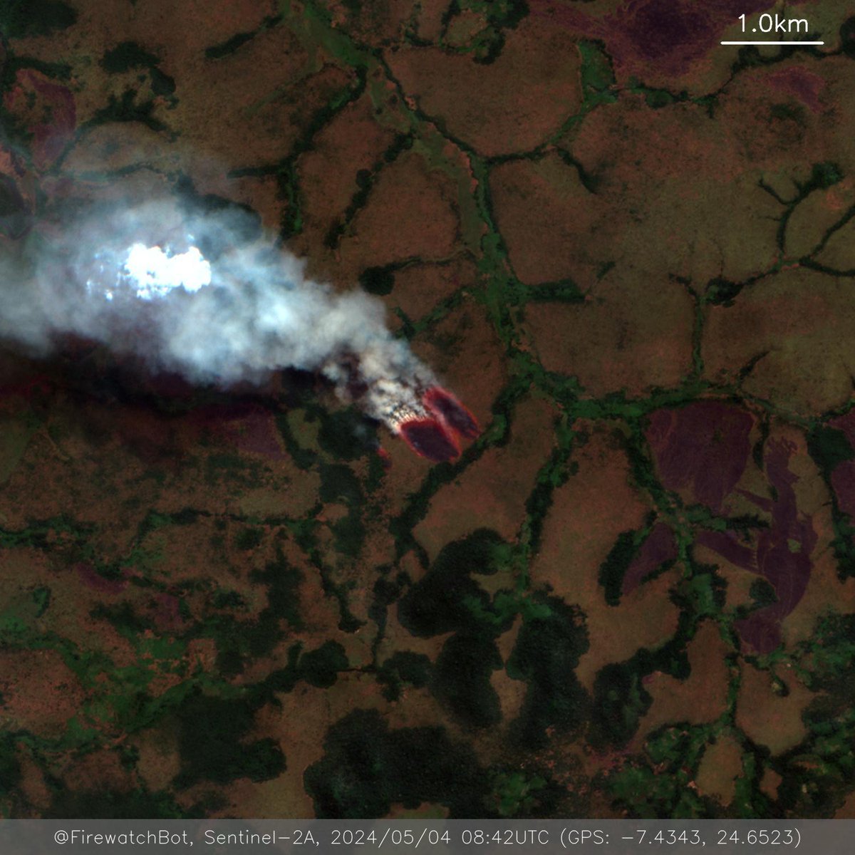 Fire detected from #Sentinel2

🗺 Place: Kamina, Haut-Lomami, #DemocraticRepublicoftheCongo
🕛 Date: 2024/05/04 08:42UTC

View location: maps.google.com/?q=-7.43434965… (-7.4343, 24.6523)