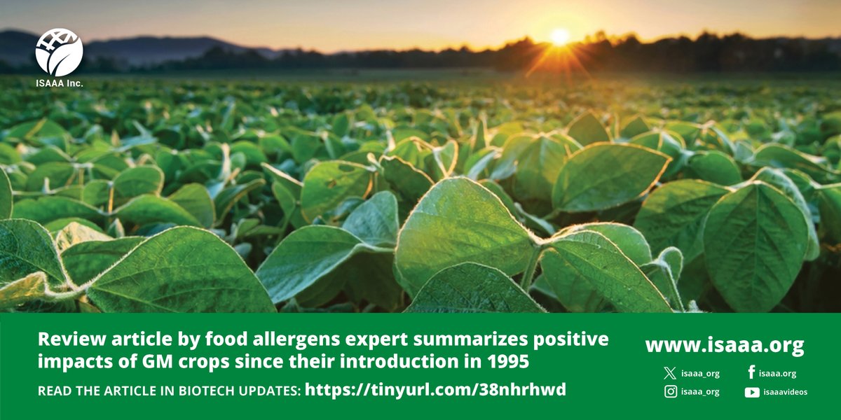Dr. Richard Goodman, food allergens expert and Emeritus Professor at the University of Nebraska-Lincoln published a review article on the positive impacts of GM crops since their introduction in 1995. Read details in #BiotechUpdates: tinyurl.com/38nhrhwd