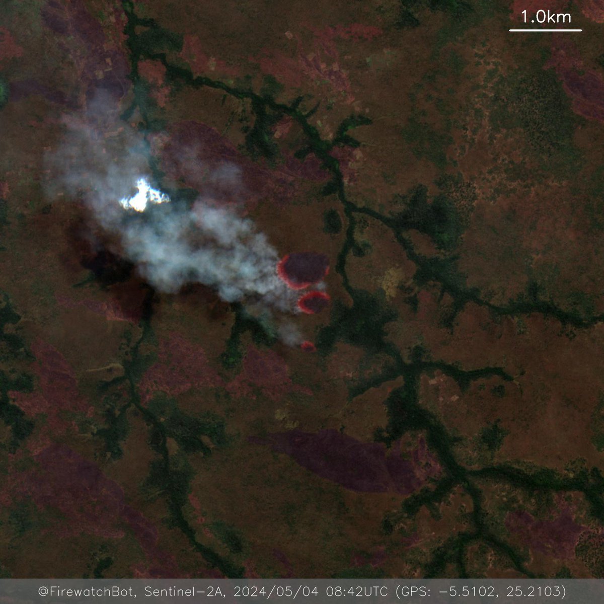 Fire detected from #Sentinel2

🗺 Place: Lubao, Lomami, #DemocraticRepublicoftheCongo
🕛 Date: 2024/05/04 08:42UTC

View location: maps.google.com/?q=-5.51020991… (-5.5102, 25.2103)