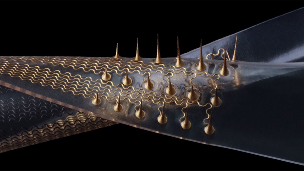Microneedles that can bend and stretch to redefine healthcare interestingengineering.com/health/flexibl…