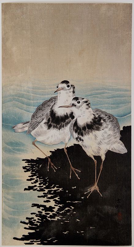 Illan Tullen rannalla Kuljen #haiku 🙏💙💦 Pic by Ohara Koson