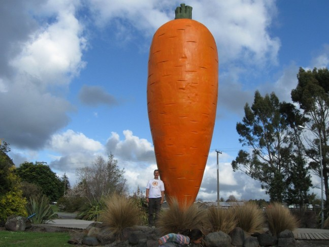 Ohakune Carrot Carnival celebrating 40th giant vegetable birthday , via @nzherald nzherald.co.nz/whanganui-chro…