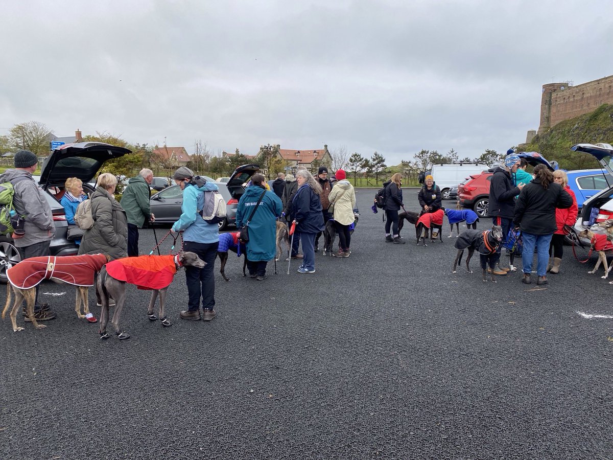 A great big thank you to everyone who came to the #GreatNorthTweetUp2024 and for so generously giving to our fundraiser this year. 👏 ⁦⁦@Scotgreyhound⁩
The total, so far, has is £449 with, hopefully, some more donations to come in via PayPal.