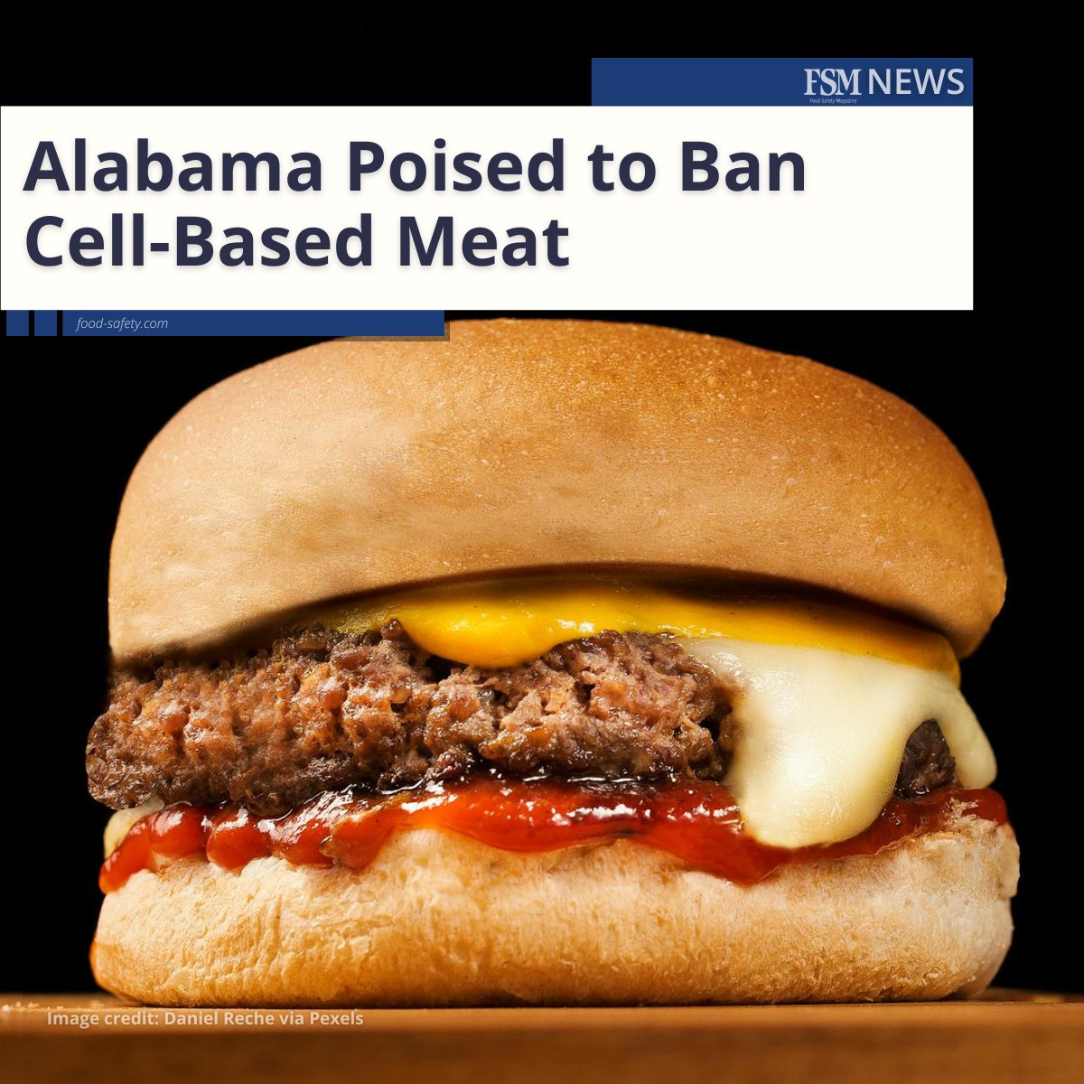 The Alabama House recently passed SB23 banning the production or sale of cell-based meat products in the state. The bill has been returned to the Senate for concurrence. 👉 brnw.ch/21wJsVy

#foodsafety #foodlaw #cellbasedmeat #cultivatedmeat #labgrownmeat #Alabama