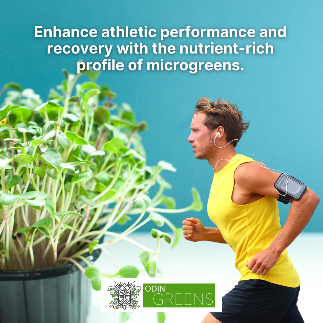 Enhance athletic performance and recovery with the nutrient-rich profile of microgreens. 

Fuel your body with the goodness of microgreens and optimize your performance! 🏃‍♂️

#nutritionblogger #igweightloss #nutritionplan #nutritional #nutritionfacts #nutritionalcleansing