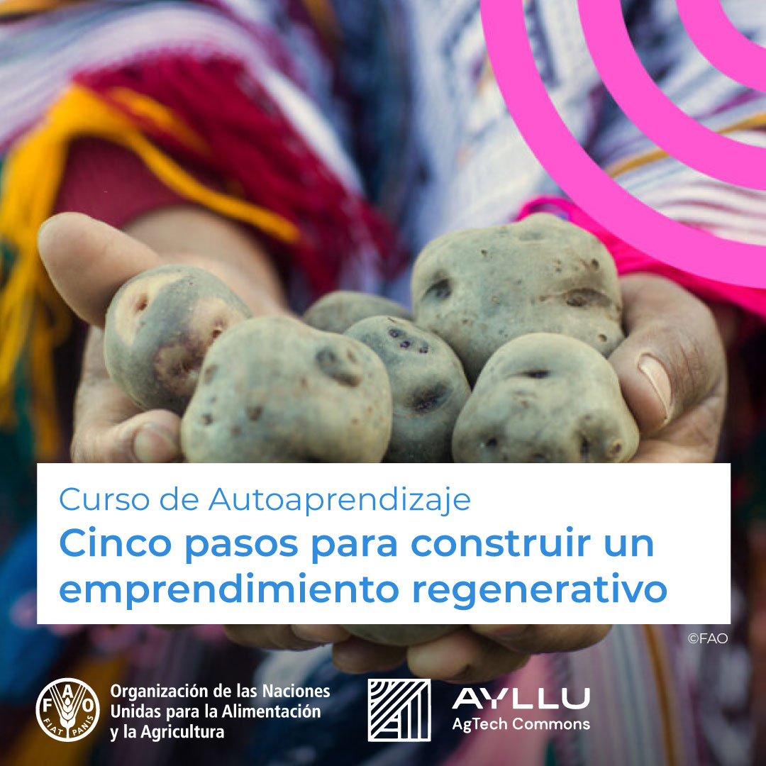 🎓 Curso gratuito en <a href="/FAOCampus/">FAO Campus - America Latina y el Caribe</a>

🌳 Cinco pasos para construir un emprendimiento regenerativo

Generar cambios en la manera de producir alimentos con un impacto positivo en aspectos ambientales, sociales y económicos.

¡Matricúlate! ➡️ ow.ly/FSZt50QaPfj
<a href="/FAO/">Food and Agriculture Organization</a> <a href="/FAOAmericas/">FAO Américas</a>