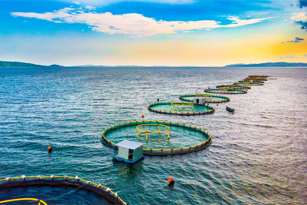 A new study provides recommendations on designing and co-managing aquaculture and ecosystem management to benefit fisheries and conservation objectives. bit.ly/3ybuh8I