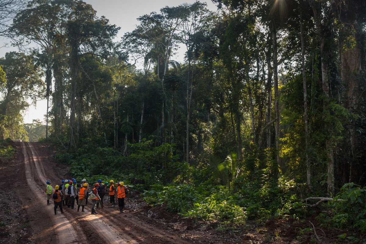 .@USAID announced our support for 3 new efforts in the Amazon region, including our largest-ever program in Ecuador supporting conservation and Indigenous Peoples. Our work helps conserve 45M+ hectares of forests in the Amazon – an area larger than CA: usaid.gov/news-informati…