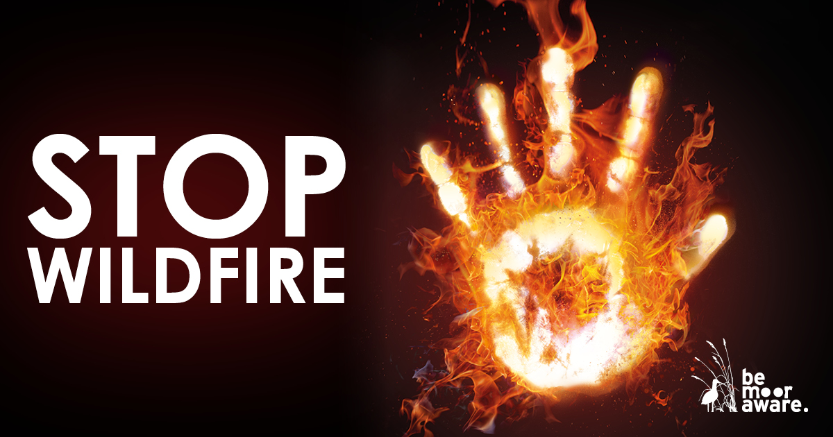 Wildfires spread very quickly and cause lots of damage and destruction. Please act responsibly and protect the moors ❤ 📞If you see a fire, call 999 and ask for the fire service. Anonymously report deliberate firesetting to FireStoppers on 0800 169 5558. #BeMoorAware