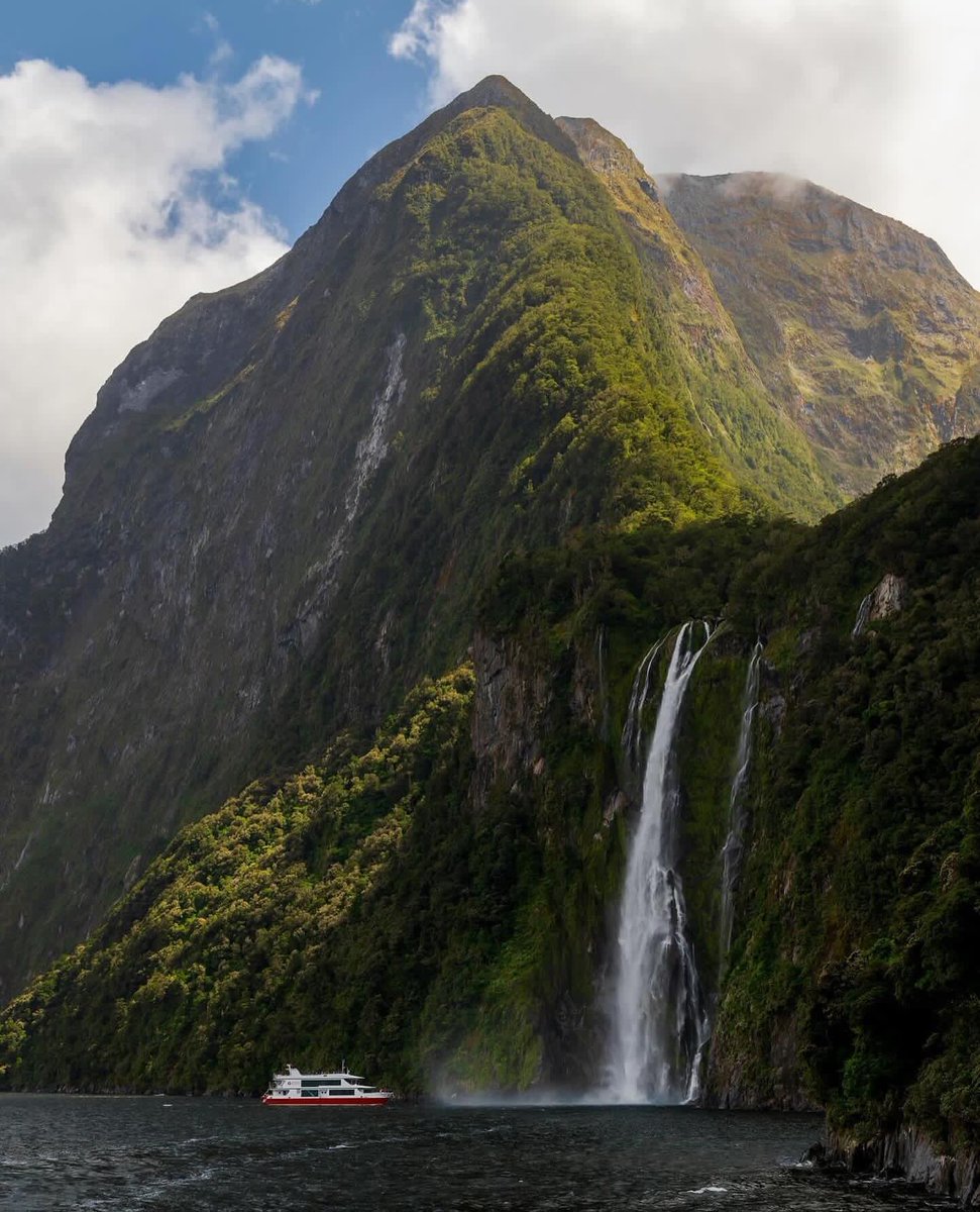 New Zealand 🇳🇿