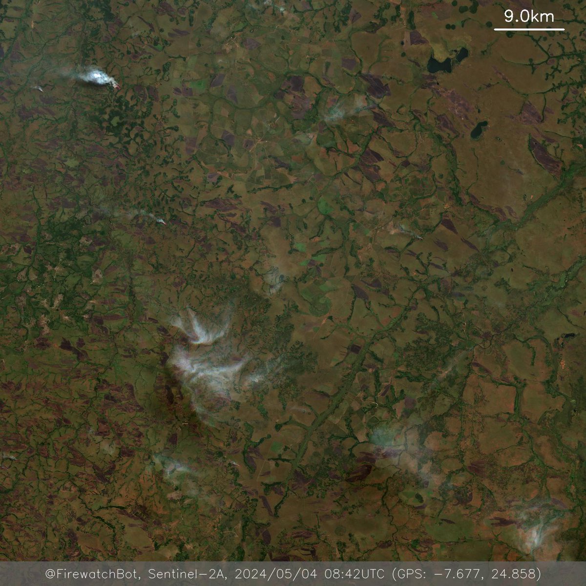 Fire detected from #Sentinel2

🗺 Place: Kamina, Haut-Lomami, #DemocraticRepublicoftheCongo
🕛 Date: 2024/05/04 08:42UTC

View location: maps.google.com/?q=-7.67699825… (-7.677, 24.858)