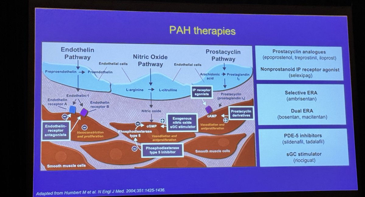 Great Saturday sessions at the @advocatehealth Aurora St Lukes Milwaukee HF symposia @NSulemanjee