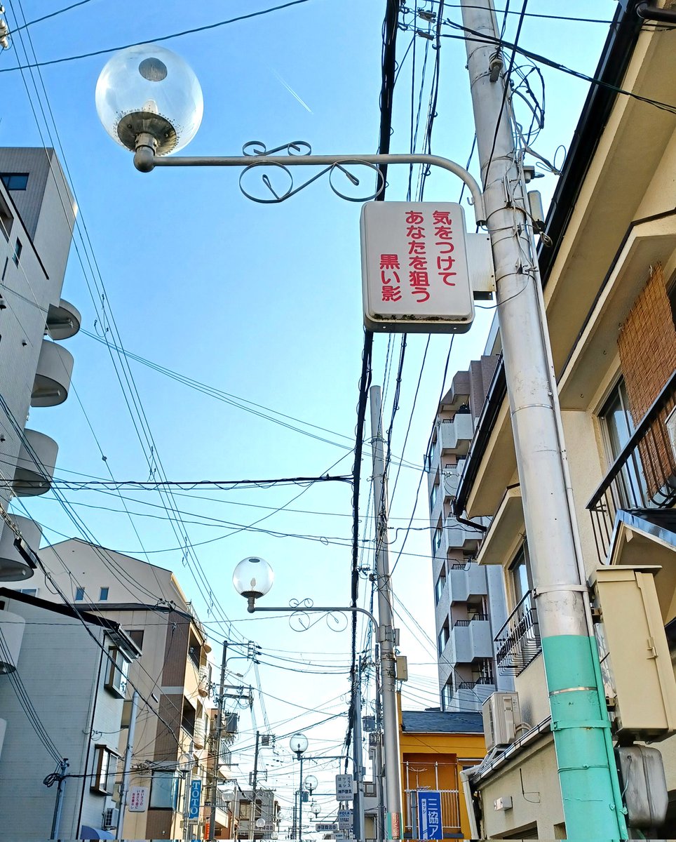 気をつけて あなたを狙う 黒い影 （神戸市須磨区） #見た人もなにか街灯をあげる