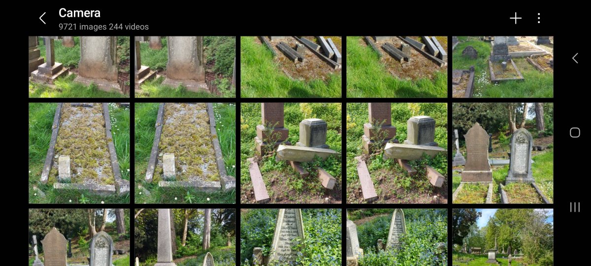 genealogybaby's tweet photo. The camera roll of a happy #genealogist after a fascinating graveyard tour of London Road Cemetery in #Coventry 🪦💕
@HistCovTrust  #familyhistory #genealogy #monumentalinscriptions https://t.co/95Vg6vACZ3