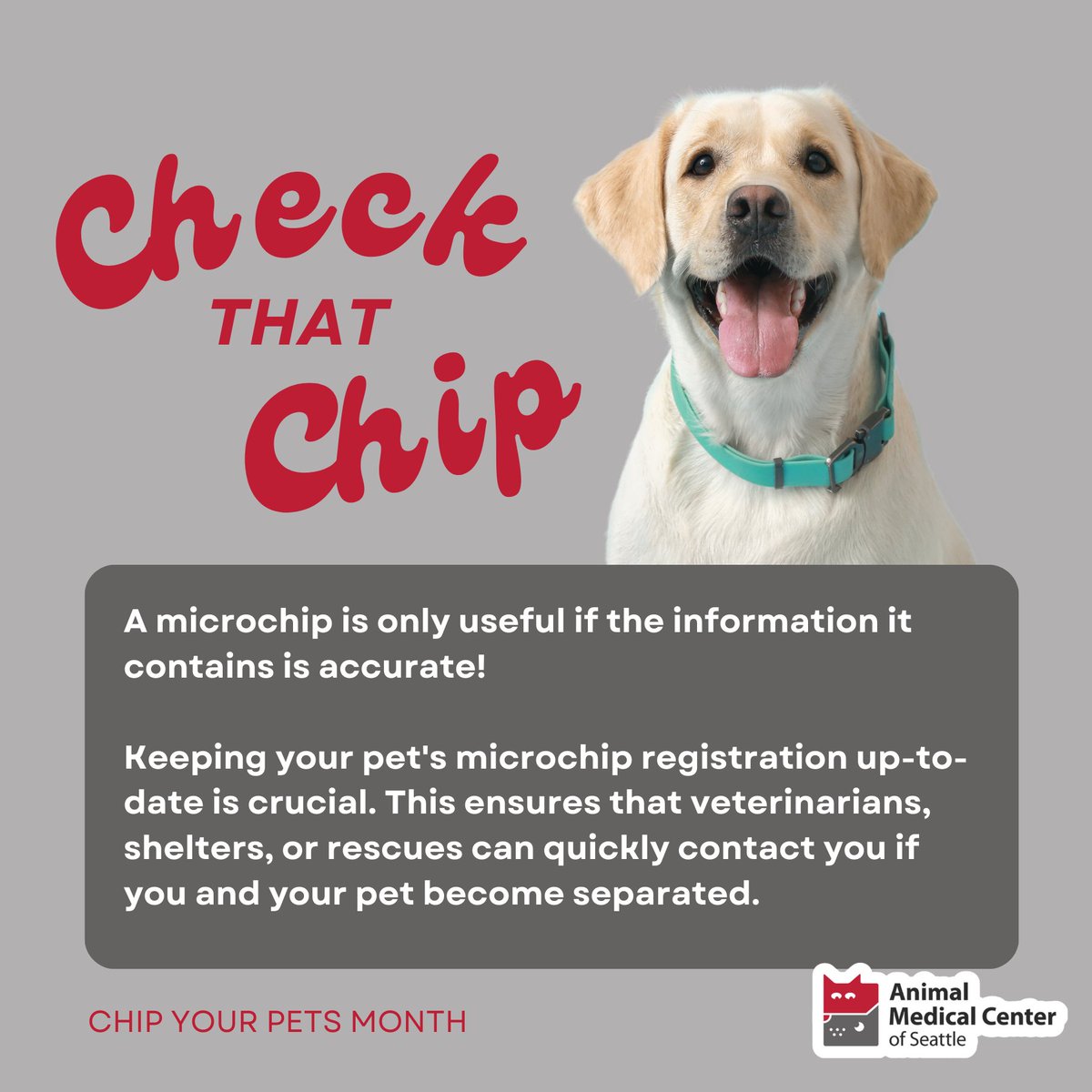 AMCSeattle Vet tweet media