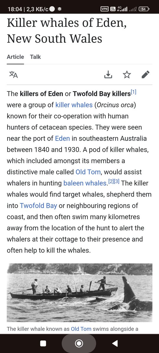 @spacepanty Reading about orcas(and cetacean in whole) convinced me that they are very smart animals. I believe they that certainly have human level mental characteristics, like consciousness (maybe not that complex like ours). I hope that AI will allow us to communicate with them