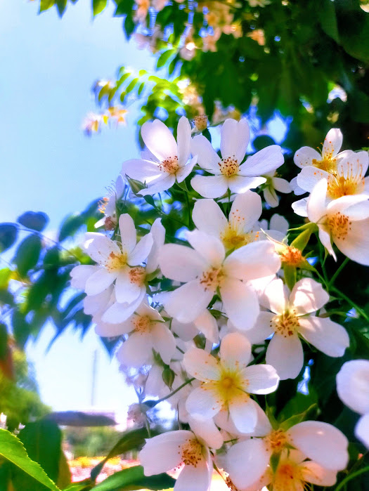 おはようございます🌈📸