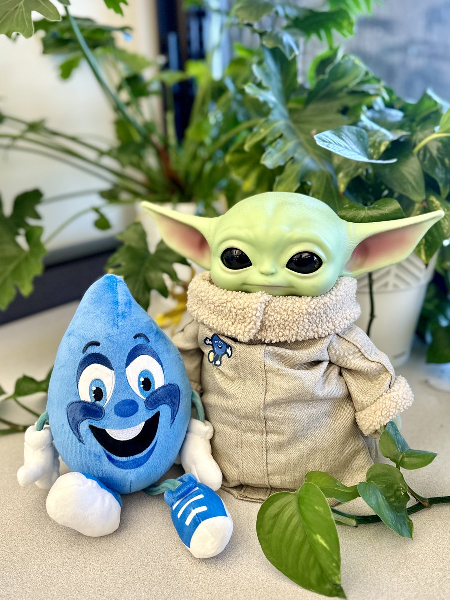 💧 May the 4th be with you! Join Eddy and Baby Grogu as they use the force to safeguard our water galaxies! 🚀🌍