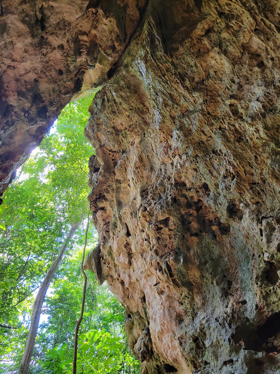 Touching rock today