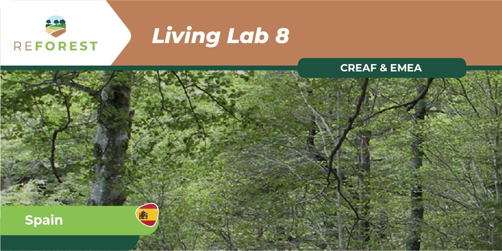 💼💰Economic barriers pose significant challenges to the widespread adoption of #Agroforestry in Europe. #LivingLab 8 is dedicated to uncovering viable economic and political solutions. 

Learn more: agroreforest.eu/living-lab-spa…