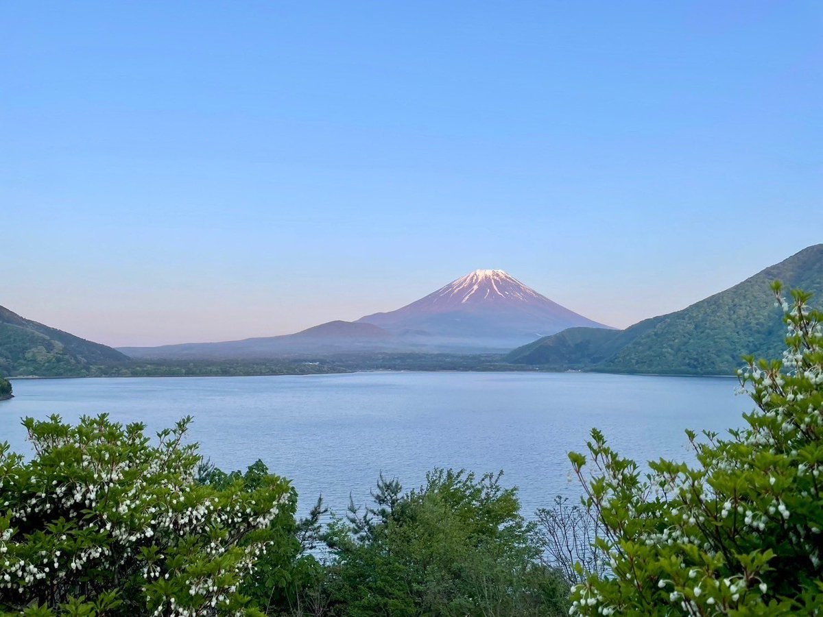娘と初めての遠出👶
富士山綺麗だった🗻