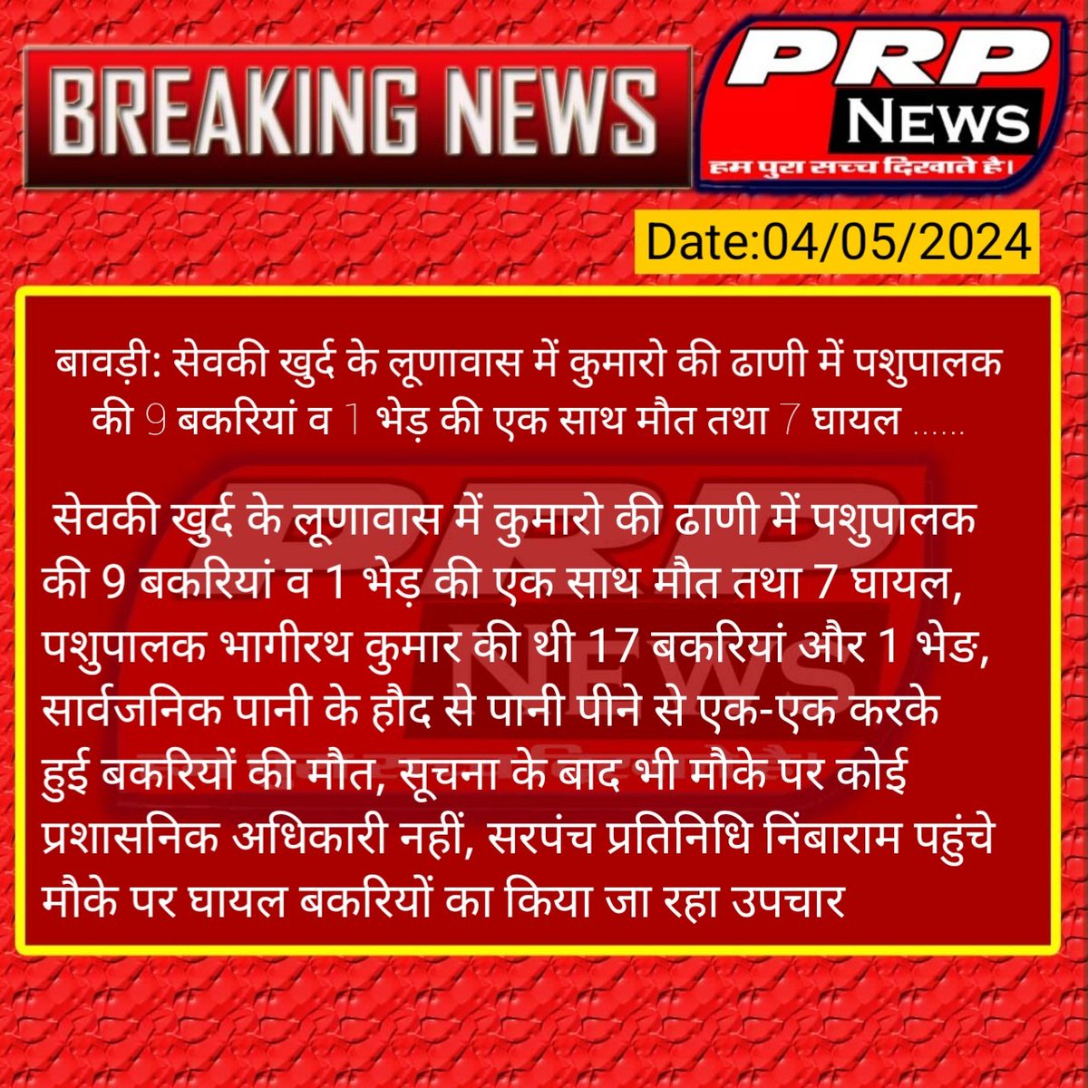 #बावड़ी: सेवकी खुर्द के लूणावास में कुमारो की ढाणी में पशुपालक की 9 बकरियां व 1 भेड़ की एक साथ मौत तथा 7 घायल ......
#RajasthanWithPRPNews 
#RajasthanNews #letastnews @JodhpurDm @RajGovOfficial @Dept_of_AHD @Igp_Jodhpur